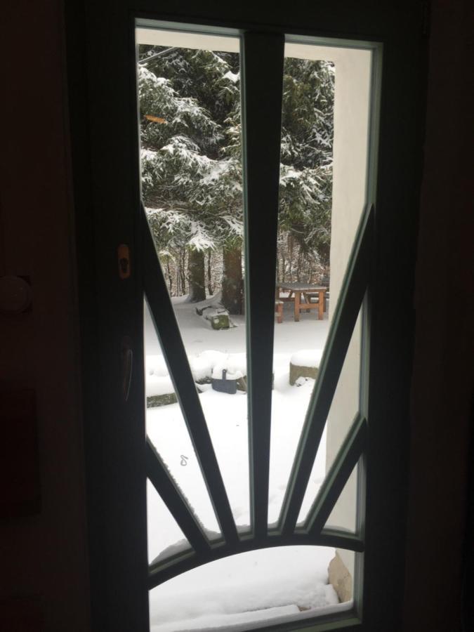 Enjoy Cozy Home Hills & Forest & Views & Gardens & Sauna Whirlpool Bath Яблонне-в-Подьештеди Экстерьер фото